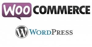 Read more about the article ما فائدة استخدام WooCommerce