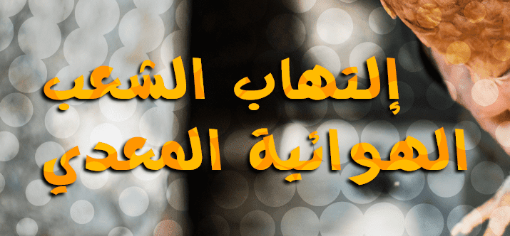 طيبة فيت للعناية بالحيوانات والدواجن طيبة فيت للعناية بالحيوانات والدواجن